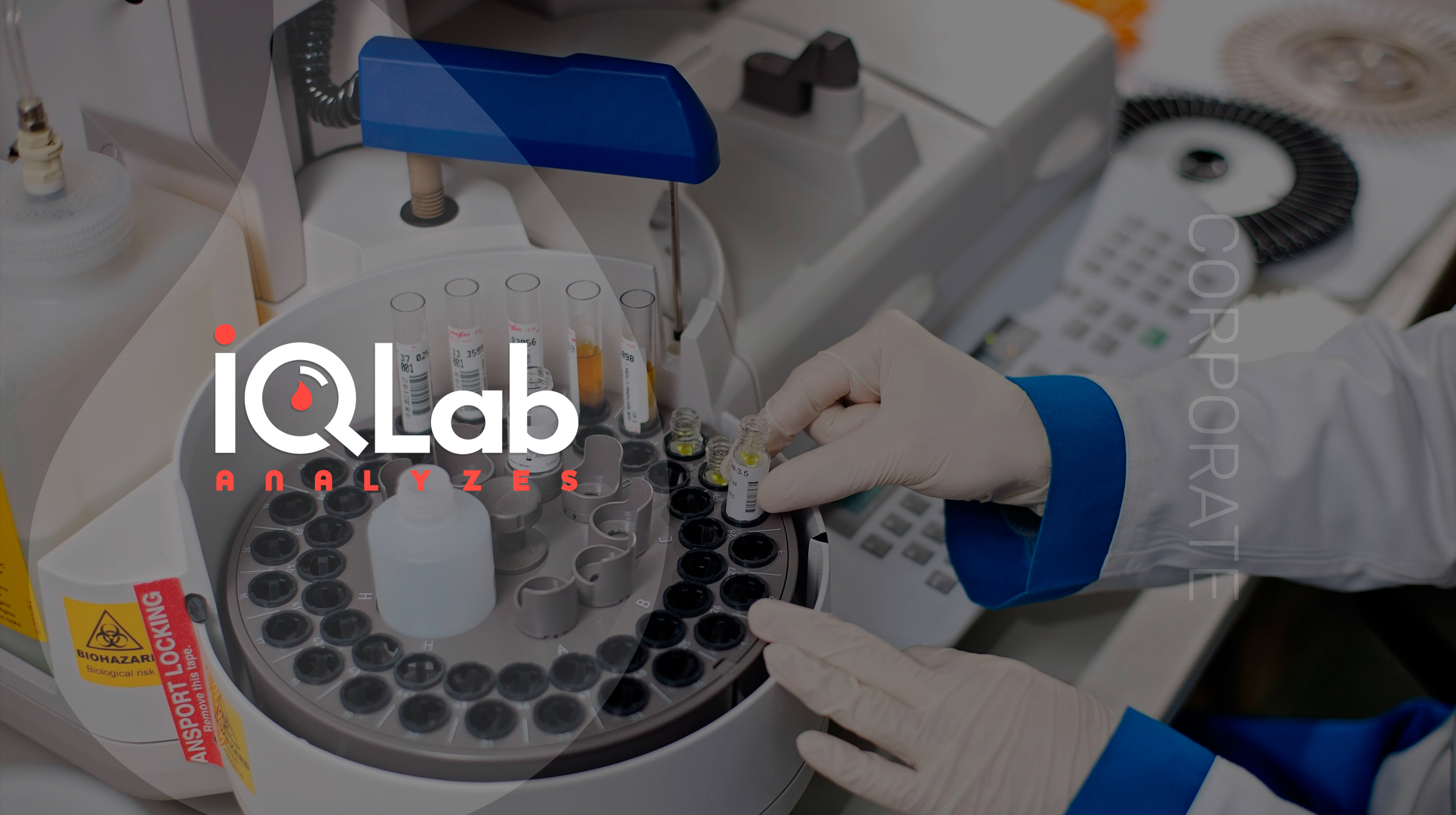 Разработка сайта автоматизированной лаборатории IQLab